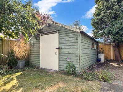 Picture 20
